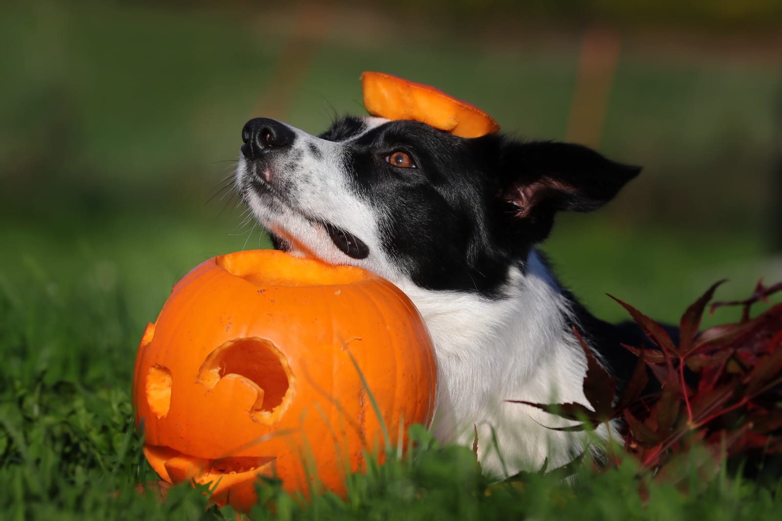 Sabine und Michi mit Finn